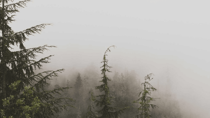 Mindfulness - professional stock photography